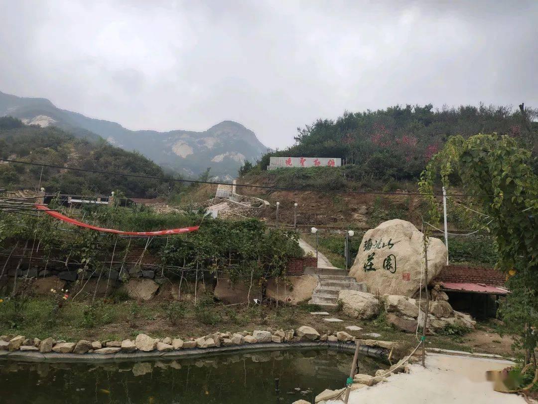 活力跳跳